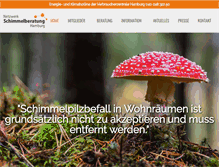 Tablet Screenshot of netzwerk-schimmelberatung-hamburg.de